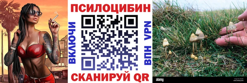 Купить Вольск Псилоцибиновые грибы прущие грибы